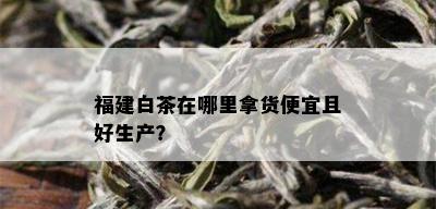 福建白茶在哪里拿货便宜且好生产？