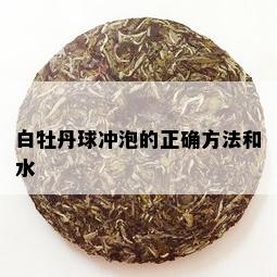 白牡丹球冲泡的正确方法和水