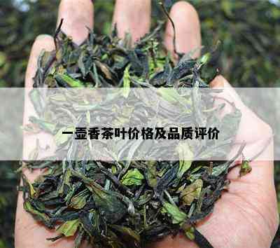 一壶香茶叶价格及品质评价