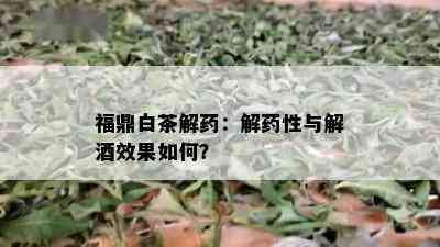 福鼎白茶解：解性与解效果如何？