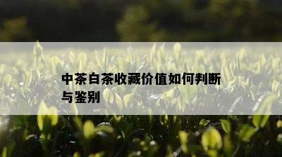 中茶白茶收藏价值如何判断与鉴别