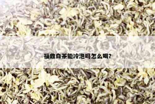 福鼎白茶能冷泡吗怎么喝？