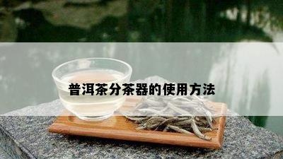 普洱茶分茶器的使用方法