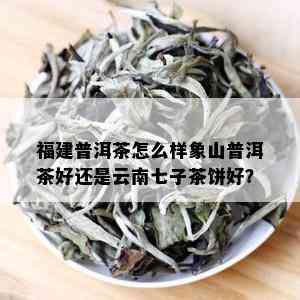 福建普洱茶怎么样象山普洱茶好还是云南七子茶饼好？