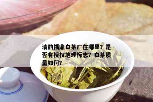 清韵福鼎白茶厂在哪里？是否有授权地理标志？白茶质量如何？