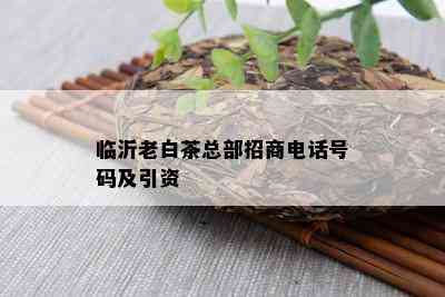 临沂老白茶总部招商电话号码及引资