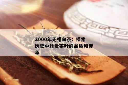 2000年无相白茶：探索历史中珍贵茶叶的品质和传承