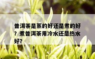 普洱茶是蒸的好还是煮的好？煮普洱茶用冷水还是热水好？