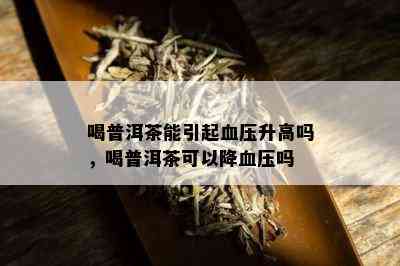 喝普洱茶能引起血压升高吗，喝普洱茶可以降血压吗