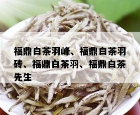 福鼎白茶羽峰、福鼎白茶羽砖、福鼎白茶羽、福鼎白茶先生