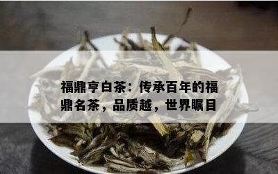 福鼎亨白茶：传承百年的福鼎名茶，品质越，世界瞩目