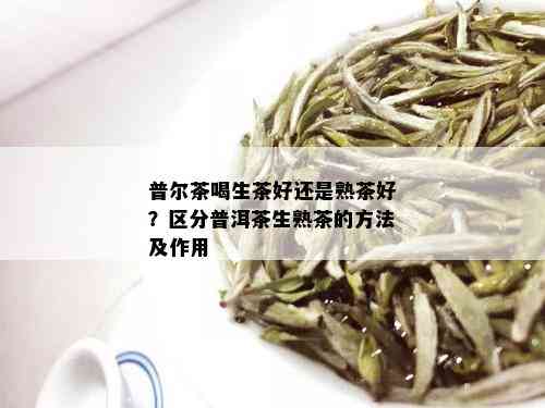 普尔茶喝生茶好还是熟茶好？区分普洱茶生熟茶的方法及作用