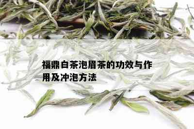 福鼎白茶泡眉茶的功效与作用及冲泡方法