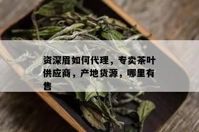 资深眉如何代理，专卖茶叶供应商，产地货源，哪里有售