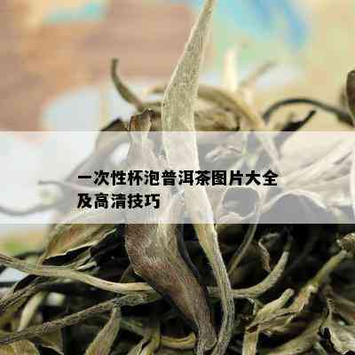 一次性杯泡普洱茶图片大全及高清技巧