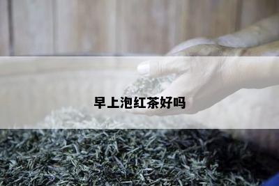 早上泡红茶好吗