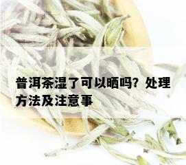 普洱茶湿了可以晒吗？处理方法及注意事