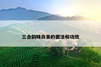 三合韵味白茶的做法和功效