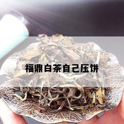 福鼎白茶自己压饼