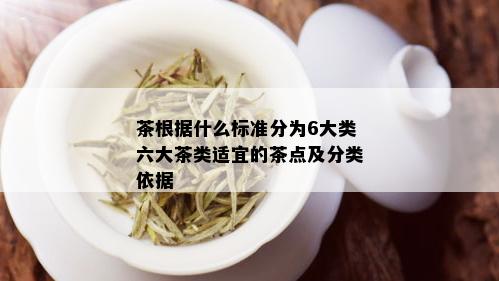 茶根据什么标准分为6大类六大茶类适宜的茶点及分类依据