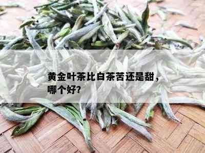 黄金叶茶比白茶苦还是甜，哪个好？