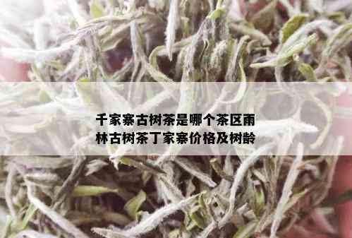 千家寨古树茶是哪个茶区雨林古树茶丁家寨价格及树龄