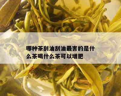 哪种茶刮油刮油最害的是什么茶喝什么茶可以增肥