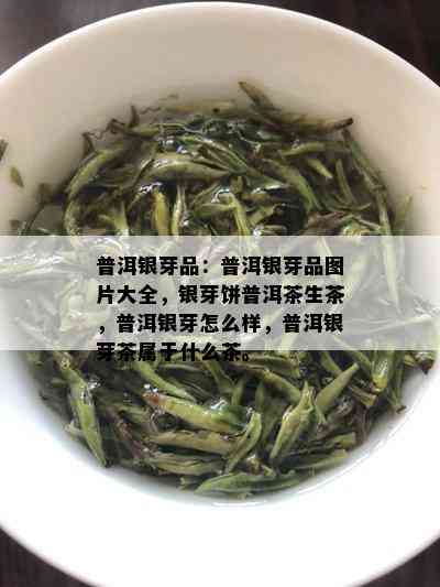 普洱银芽品：普洱银芽品图片大全，银芽饼普洱茶生茶，普洱银芽怎么样，普洱银芽茶属于什么茶。