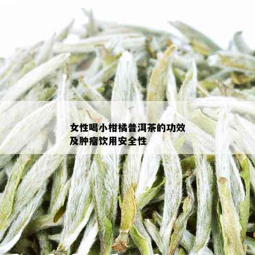 女性喝小柑橘普洱茶的功效及肿瘤饮用安全性