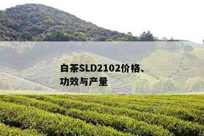 白茶SLD2102价格、功效与产量