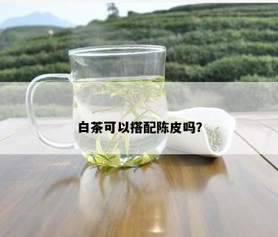 白茶可以搭配陈皮吗？