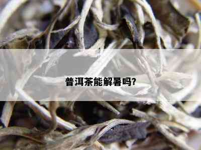 普洱茶能解暑吗？