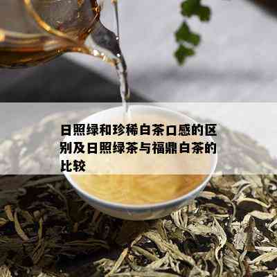 日照绿和珍稀白茶口感的区别及日照绿茶与福鼎白茶的比较