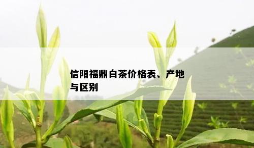 信阳福鼎白茶价格表、产地与区别