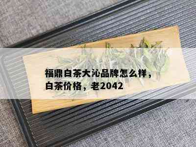 福鼎白茶大沁品牌怎么样，白茶价格，老2042