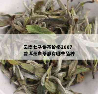 云南七子饼茶价格2007普洱茶白茶都有哪些品种