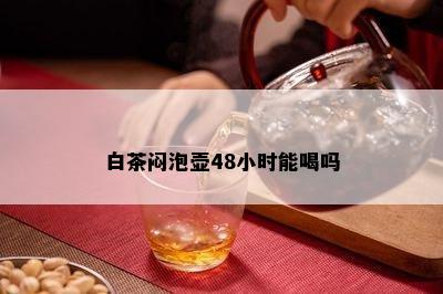 白茶闷泡壶48小时能喝吗