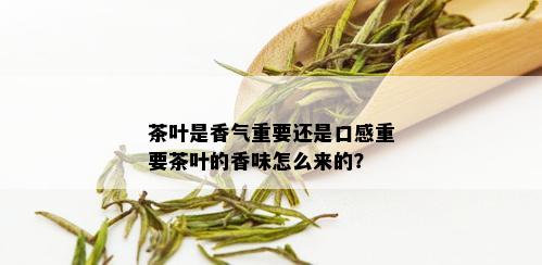 茶叶是香气重要还是口感重要茶叶的香味怎么来的？