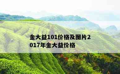 金大益101价格及图片2017年金大益价格