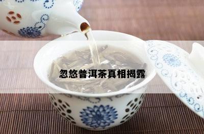 忽悠普洱茶真相揭露