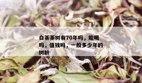 白茶茶树有70年吗，能喝吗，值钱吗，一般多少年的树龄