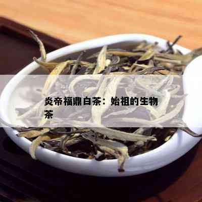 炎帝福鼎白茶：始祖的生物茶