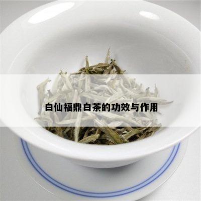 白仙福鼎白茶的功效与作用