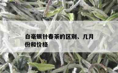 白毫银针春茶的区别、几月份和价格