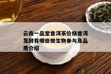 云南一品堂普洱茶价格普洱发酵有哪些微生物参与及品质介绍