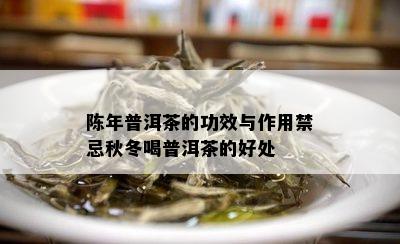 陈年普洱茶的功效与作用禁忌秋冬喝普洱茶的好处