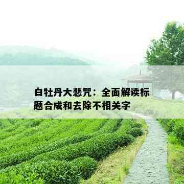 白牡丹大悲咒：全面解读标题合成和去除不相关字