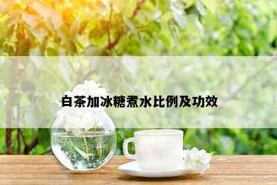 白茶加冰糖煮水比例及功效