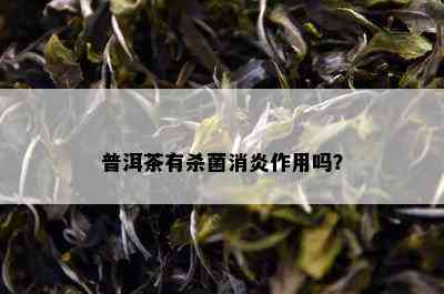 普洱茶有杀菌消炎作用吗？