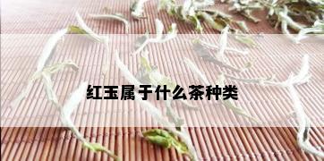 红玉属于什么茶种类